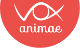 Logo VOX anime